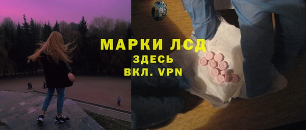 шишки Белоозёрский