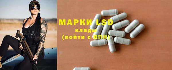 шишки Белоозёрский