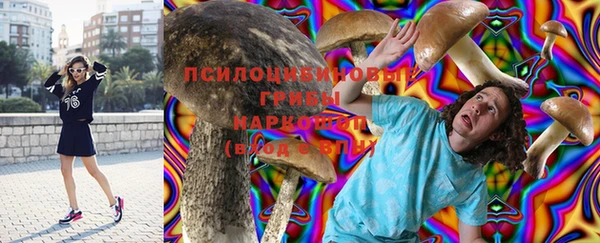 шишки Белоозёрский
