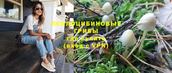 шишки Белоозёрский