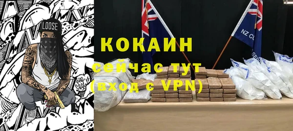 шишки Белоозёрский