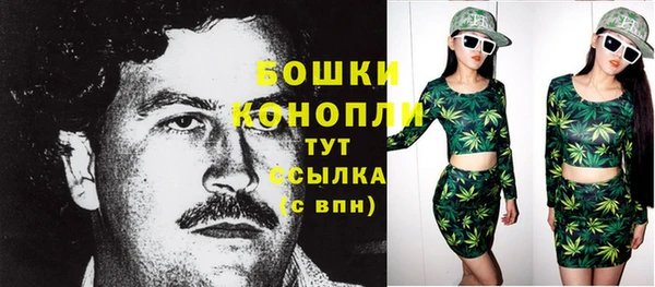 эйфоретик Сосновый Бор