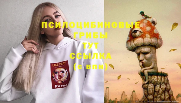 меф Белокуриха