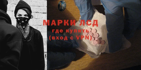 шишки Белоозёрский