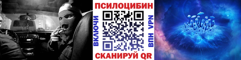 купить закладку  ОМГ ОМГ ТОР  Псилоцибиновые грибы Magic Shrooms  Краснослободск 